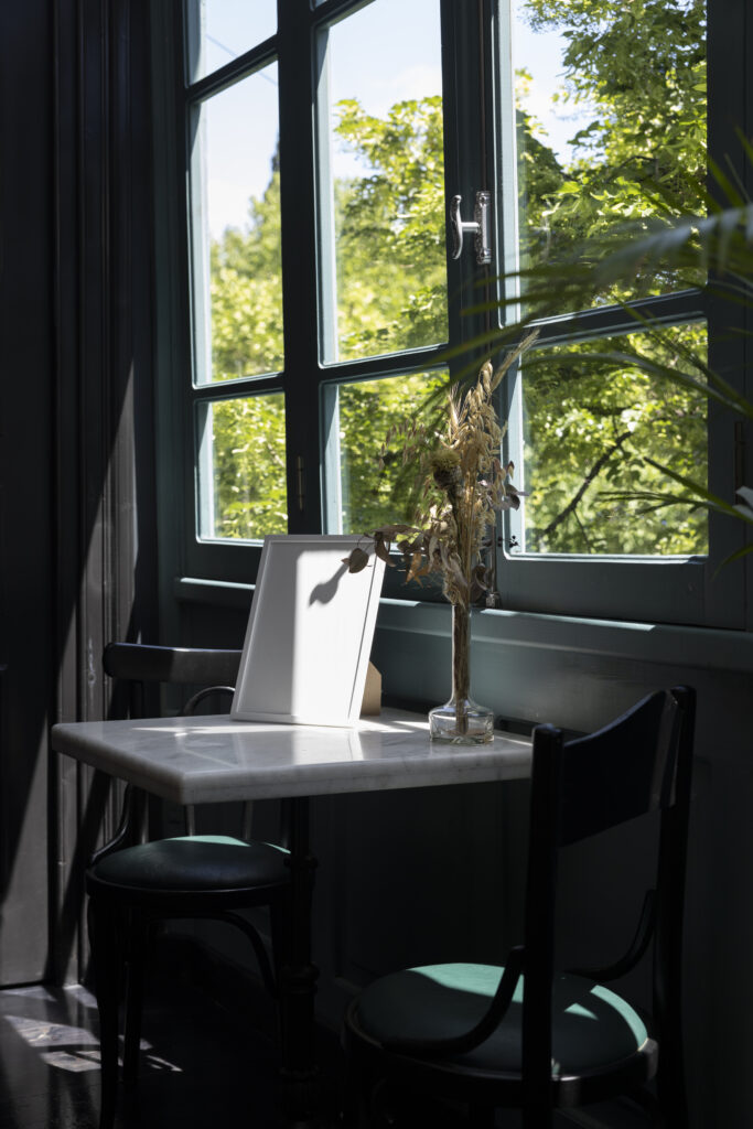 energy efficient window replacement